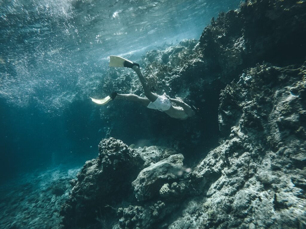 La Guía Definitiva para hacer Snorkel en Cozumel y El Cielo que cambiará tus vacaciones para siempre