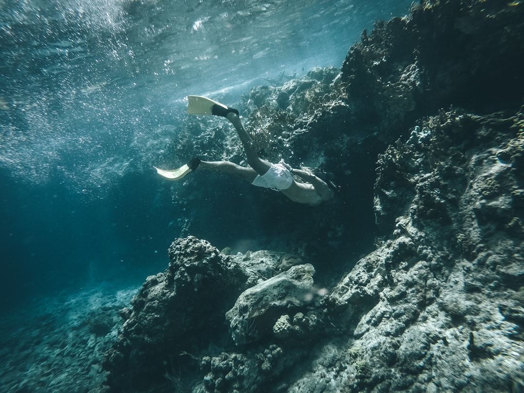 La Guía Definitiva para hacer Snorkel en Cozumel y El Cielo que cambiará tus vacaciones para siempre